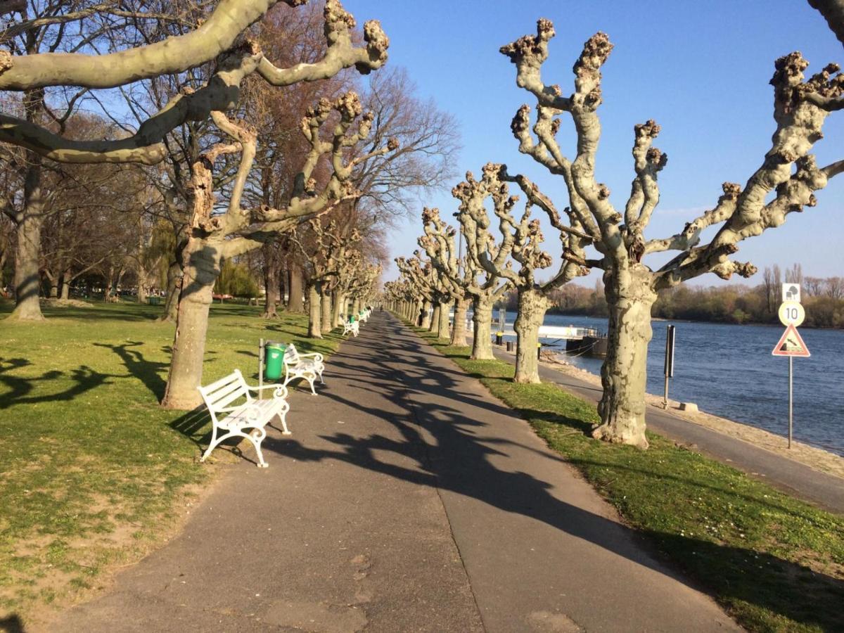 Hotel Krone Ruedesheim Rudesheim am Rhein Bagian luar foto