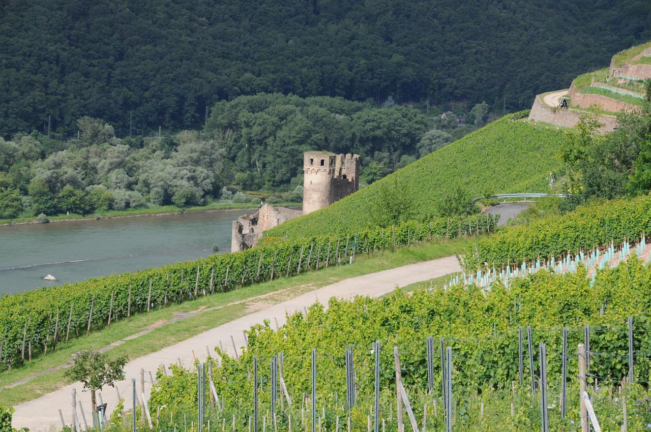 Hotel Krone Ruedesheim Rudesheim am Rhein Bagian luar foto